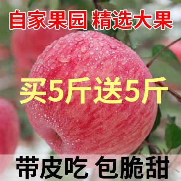 脆甜红富士苹果冰糖心新鲜水果整箱批发1不打蜡带皮包邮