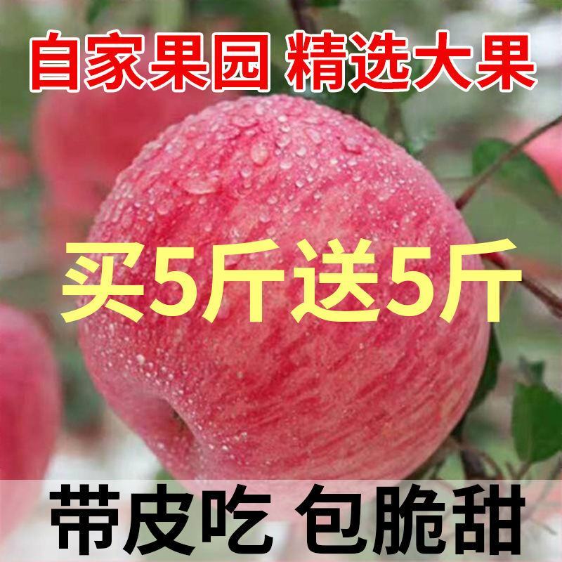 脆甜红富士苹果冰糖心新鲜水果整箱批发1不打蜡带皮包邮