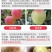 脆甜红富士苹果冰糖心新鲜水果整箱批发1不打蜡带皮包邮