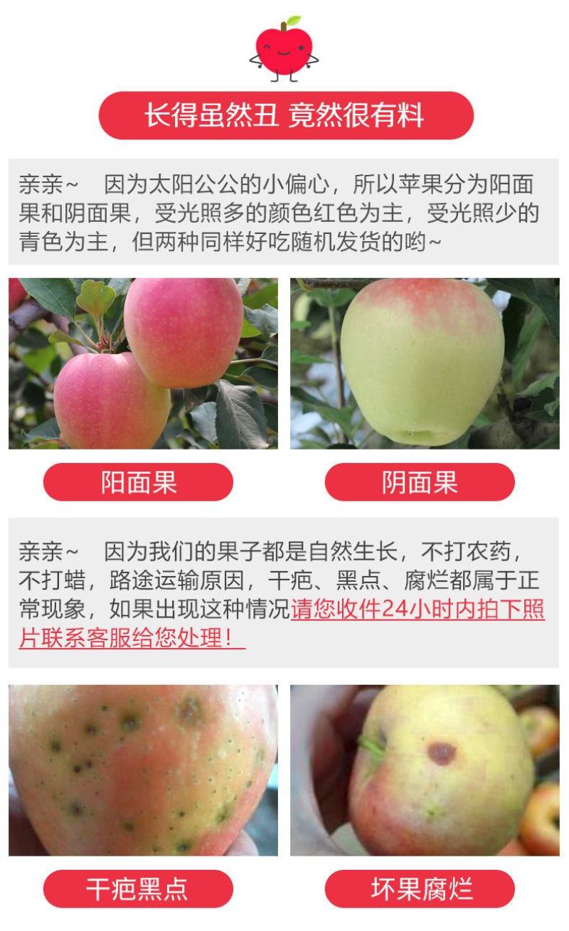 脆甜红富士苹果冰糖心新鲜水果整箱批发1不打蜡带皮包邮