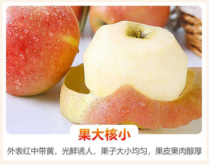脆甜红富士苹果冰糖心新鲜水果整箱批发1不打蜡带皮包邮
