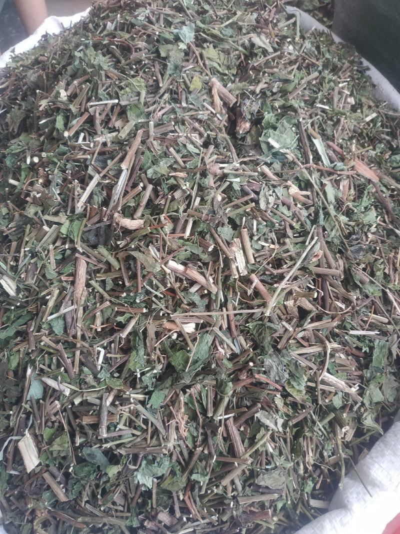 千里光～新货～药厂货～质量好，欢迎咨询采购