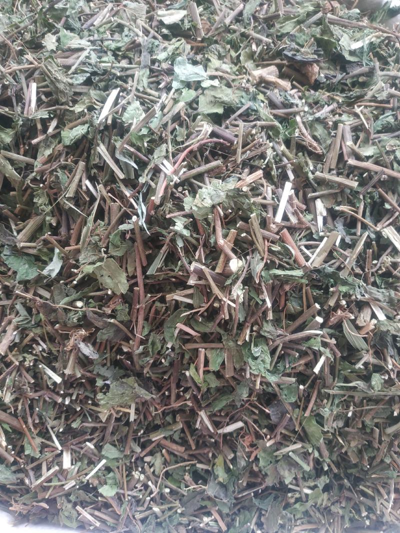 千里光～新货～药厂货～质量好，欢迎咨询采购
