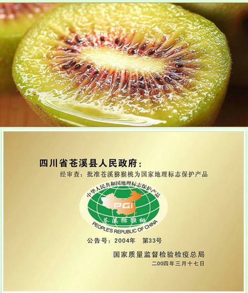 苍溪红心猕猴桃已上市，相约在九月