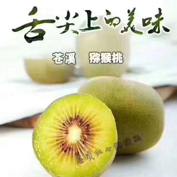 苍溪红心猕猴桃已上市，相约在九月