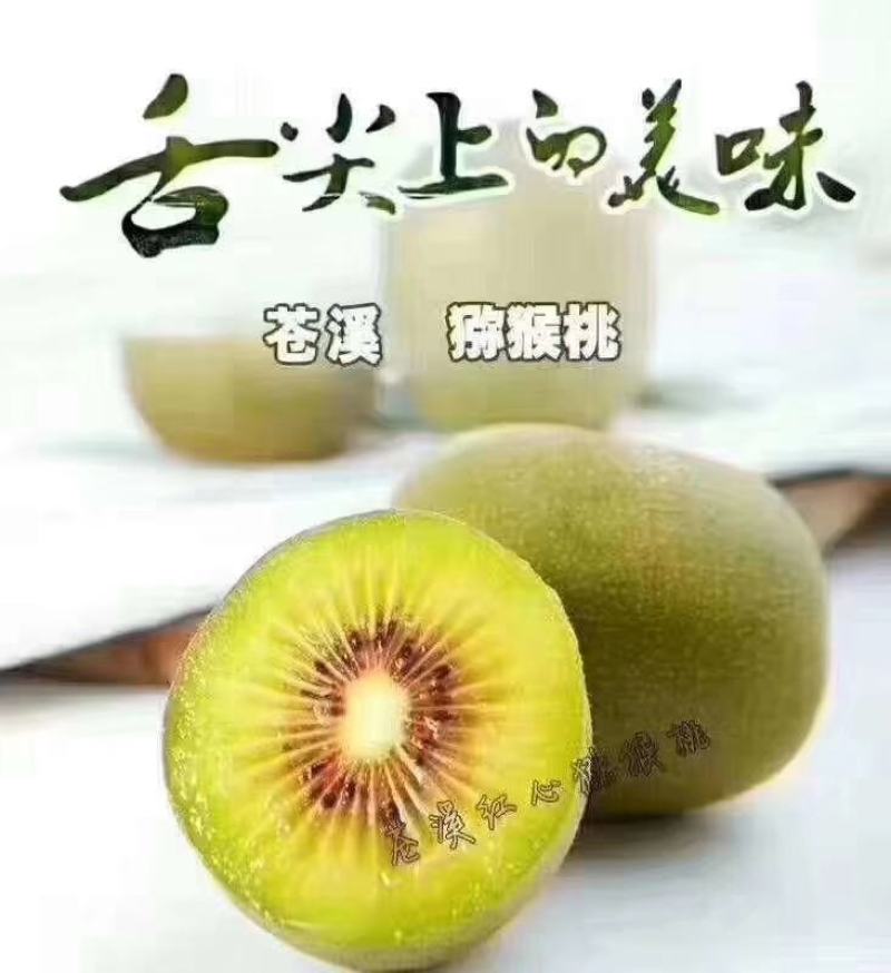 苍溪红心猕猴桃已上市，相约在九月