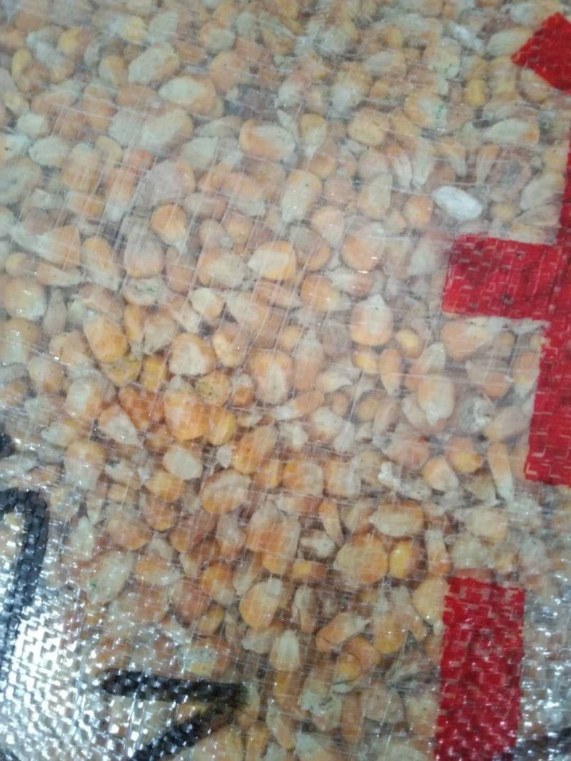 玉米干粮，广西防城港现货交易。