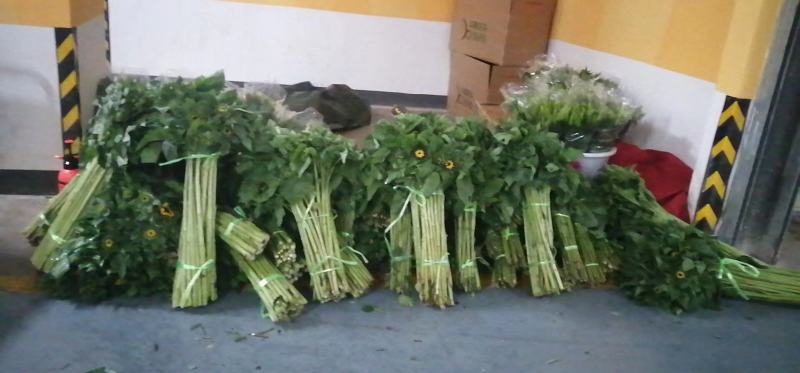 云南昆明《向日葵鲜切花》批发各种质量都有保证新鲜全国发货
