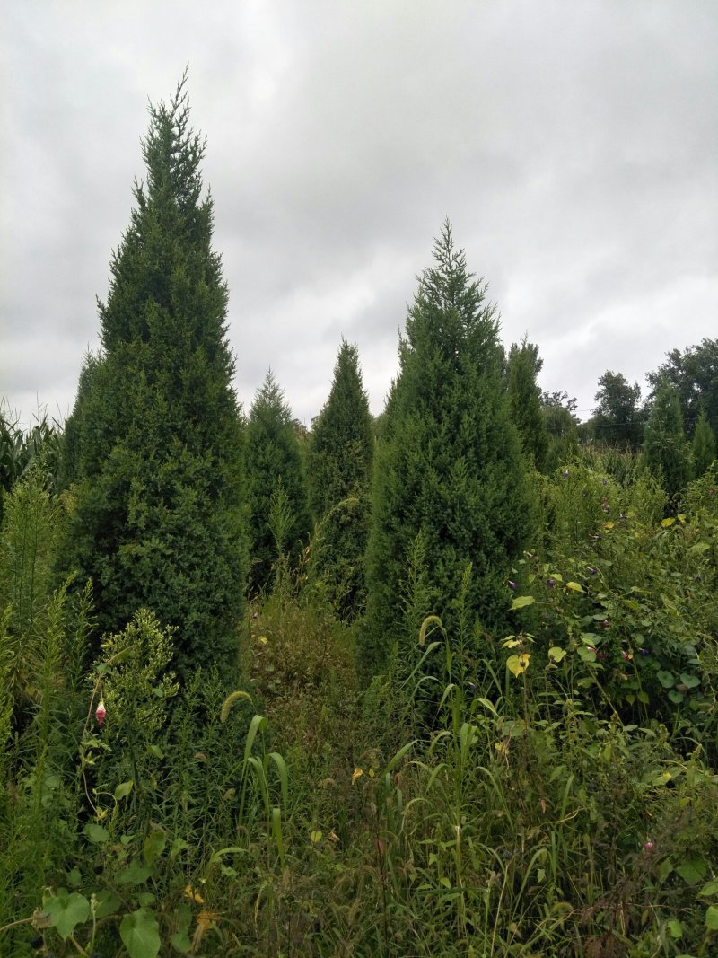 望都快产地直销量大从优一手货源服务周到上货量快