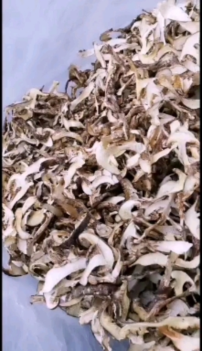 云南特产带皮松茸松茸干片产地货源大量批发