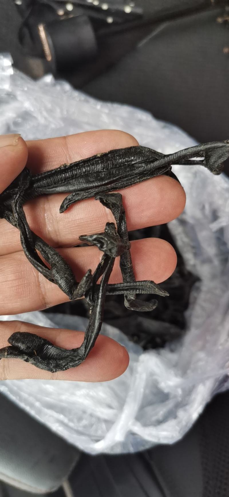 供应野生水蛭清水货欢迎合作共赢