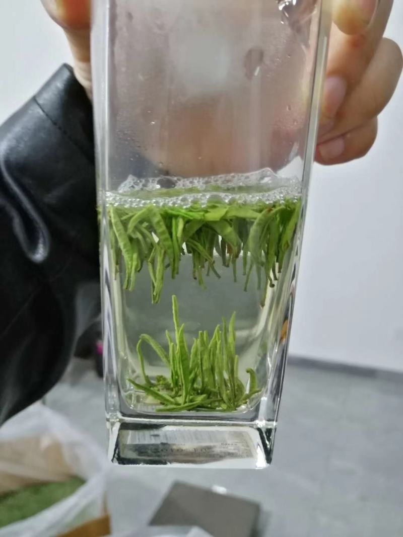 【全国包邮】早茶竹叶青，汤色好芽头好，直立感好，香味浓厚