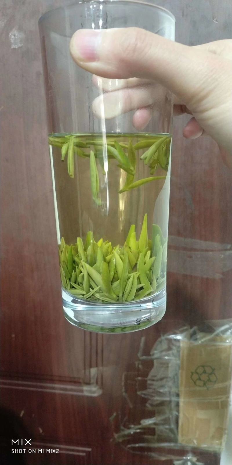 【全国包邮】早茶竹叶青，汤色好芽头好，直立感好，香味浓厚