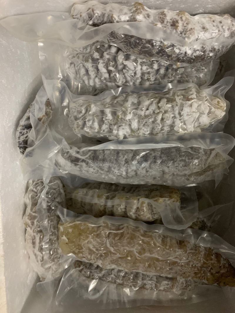 海参各种各样海参真空包装