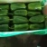 精品大太空，色泽光量，个大，口感上佳，产地直销，欢迎咨询