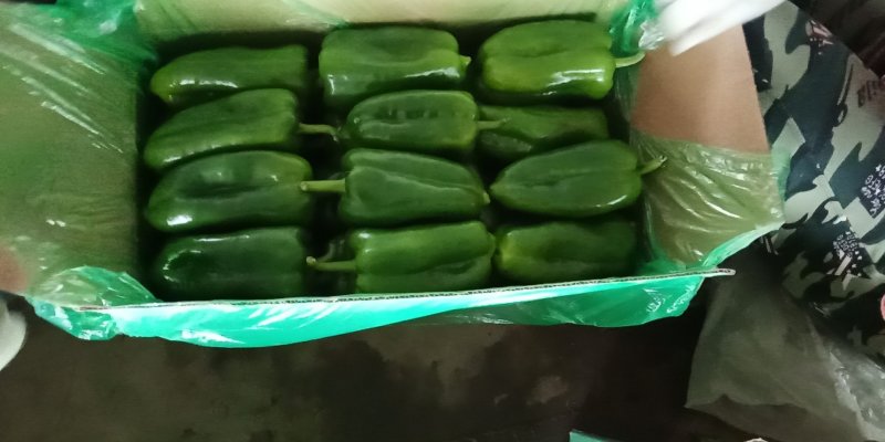 精品大太空，色泽光量，个大，口感上佳，产地直销，欢迎咨询