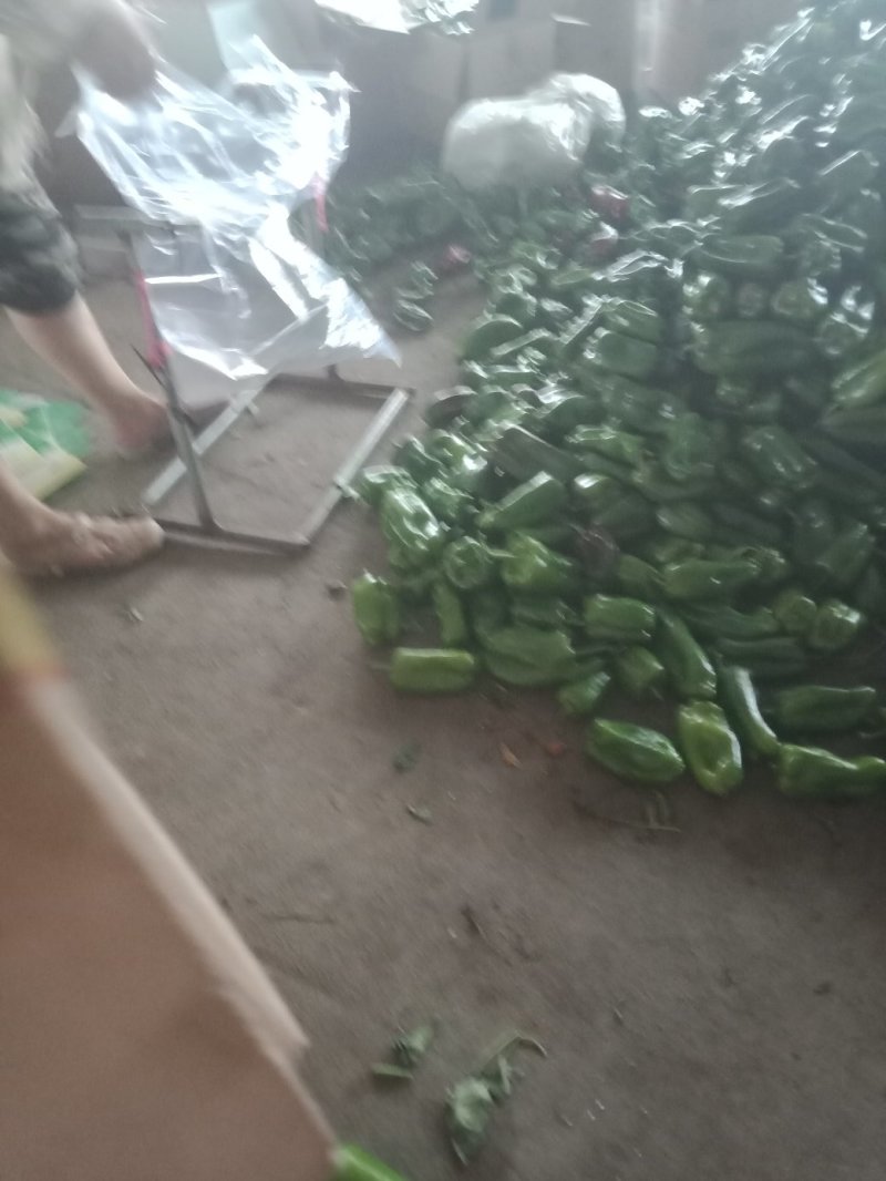精品大太空，色泽光量，个大，口感上佳，产地直销，欢迎咨询