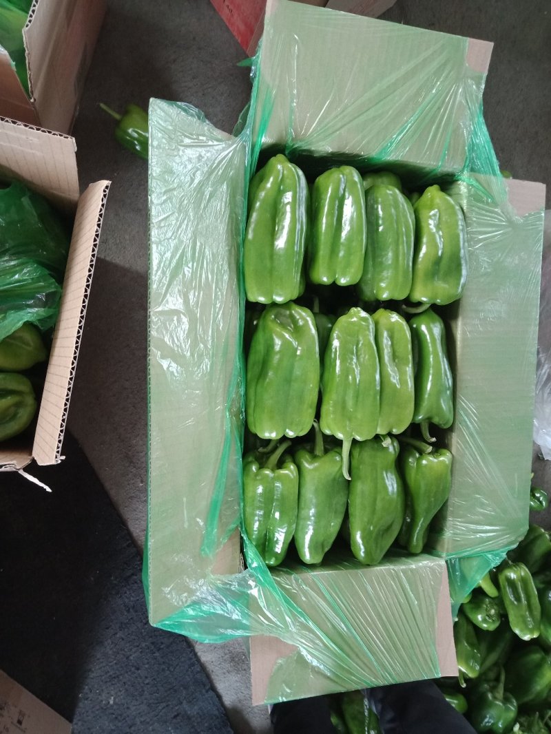精品大太空，色泽光量，个大，口感上佳，产地直销，欢迎咨询
