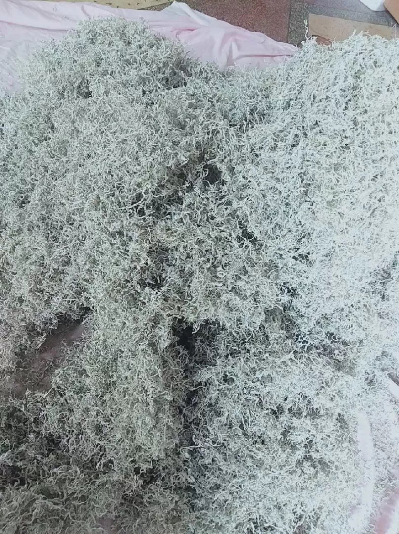 张家界土家茅岩莓茶大量上市了