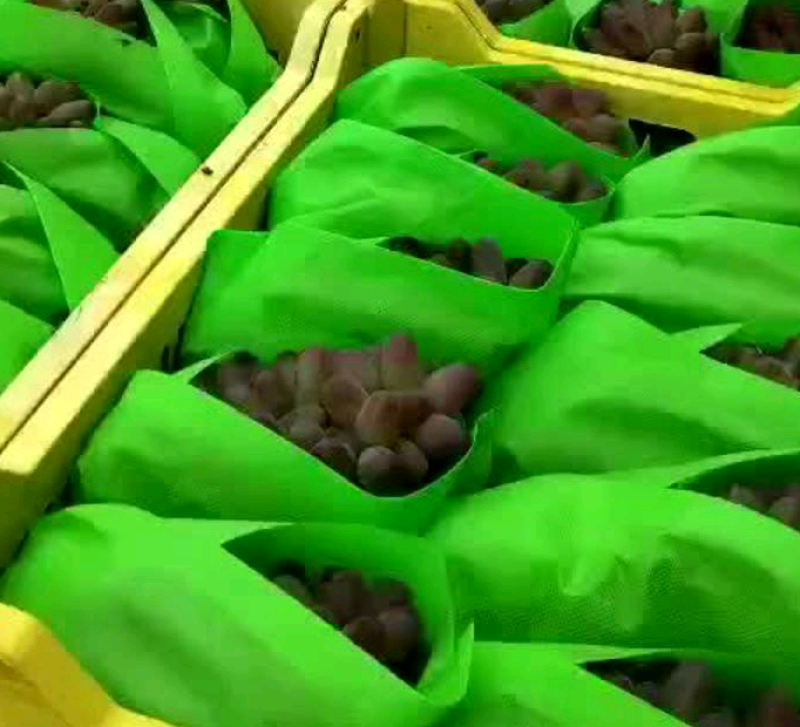 无纺布水果筐内衬袋现货供应，量大从优。