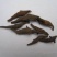 两头尖红被银莲花红背银莲花无硫各种中药材