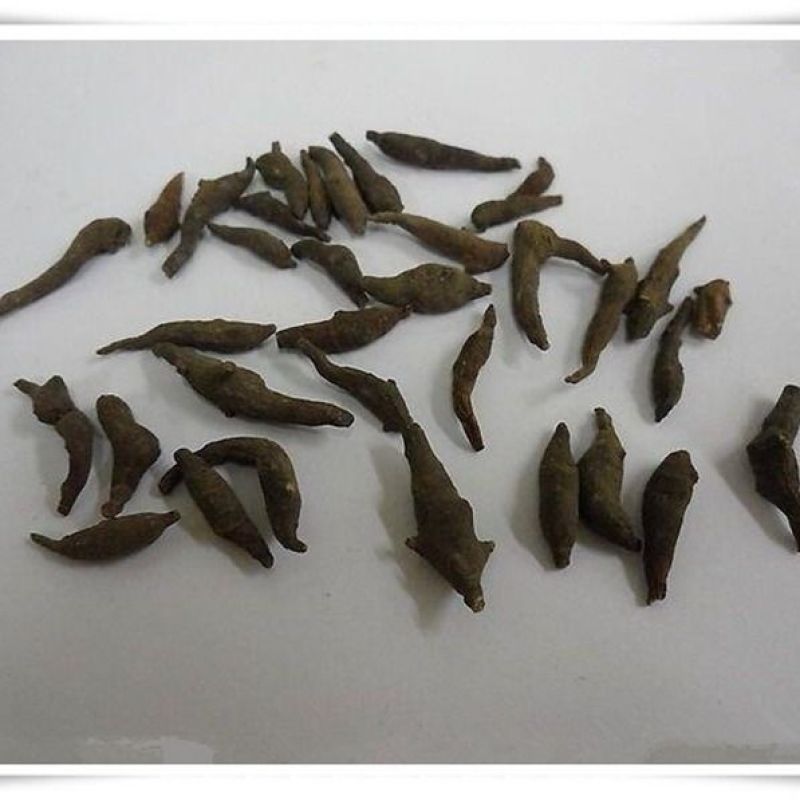 两头尖红被银莲花红背银莲花无硫各种中药材