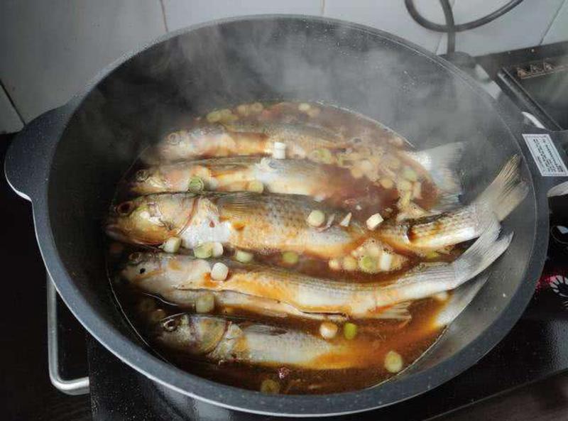 梭鱼丁鱼鲜活大批量供应肉质鲜美营养丰富