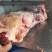内蒙古锡林郭勒草地黄牛肉棒骨，牛肉棒骨头，肉大筋少。好吃