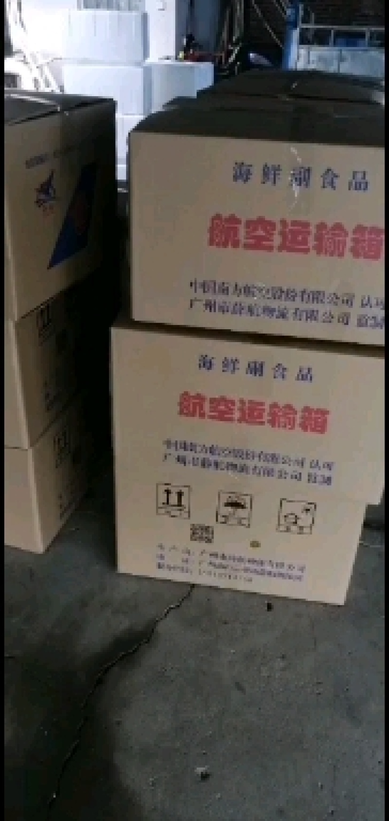 金大头鱼苗鲢鱼苗金色大头鱼苗批发金色大头鱼苗