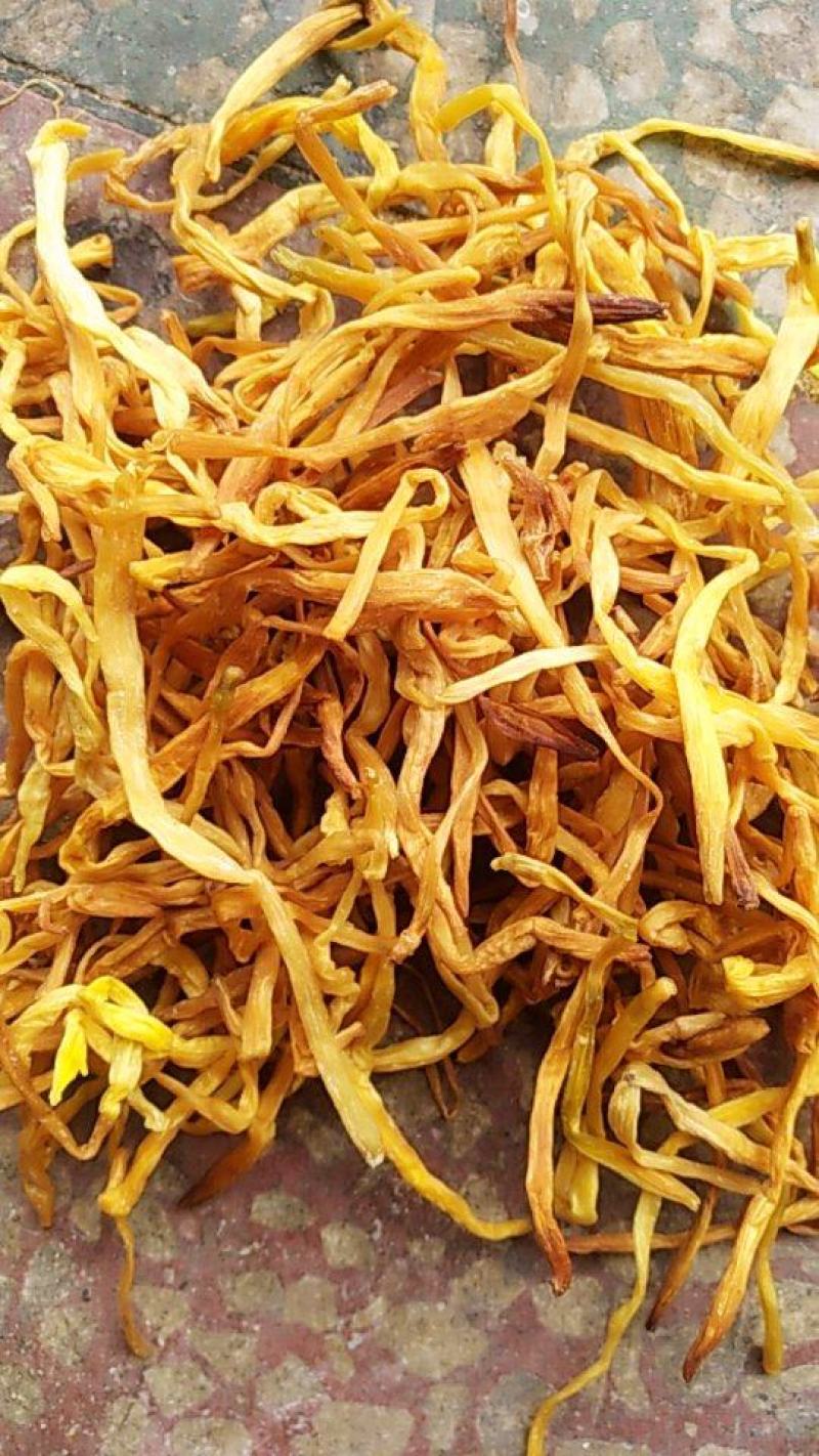 正宗湖南祁东黄花菜产地直发