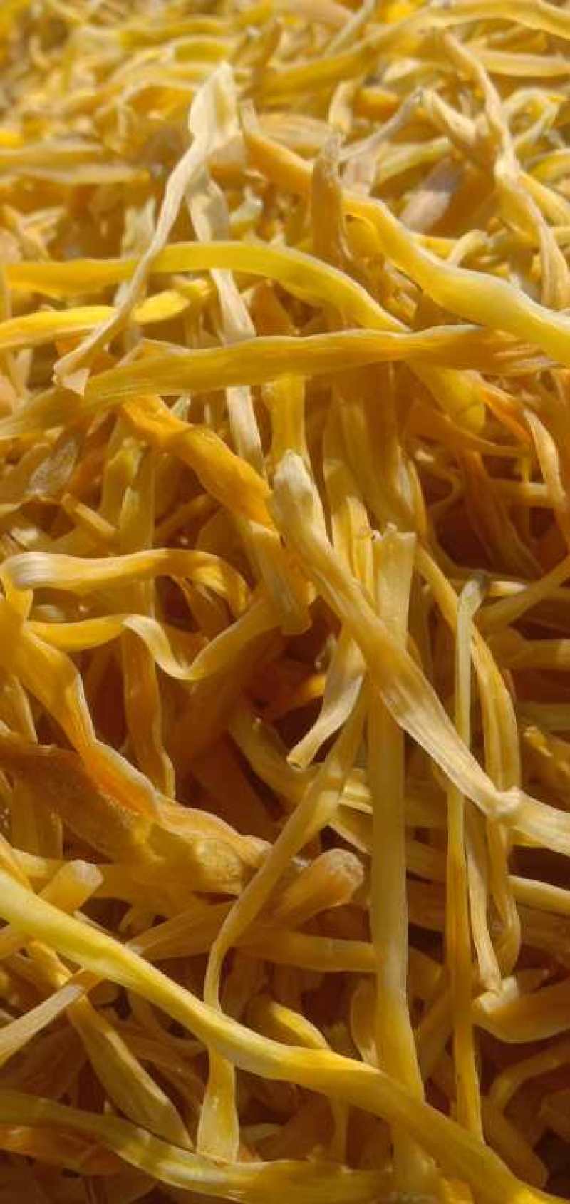 各种精品黄花菜干菜清水泡菜看中就下手手慢无