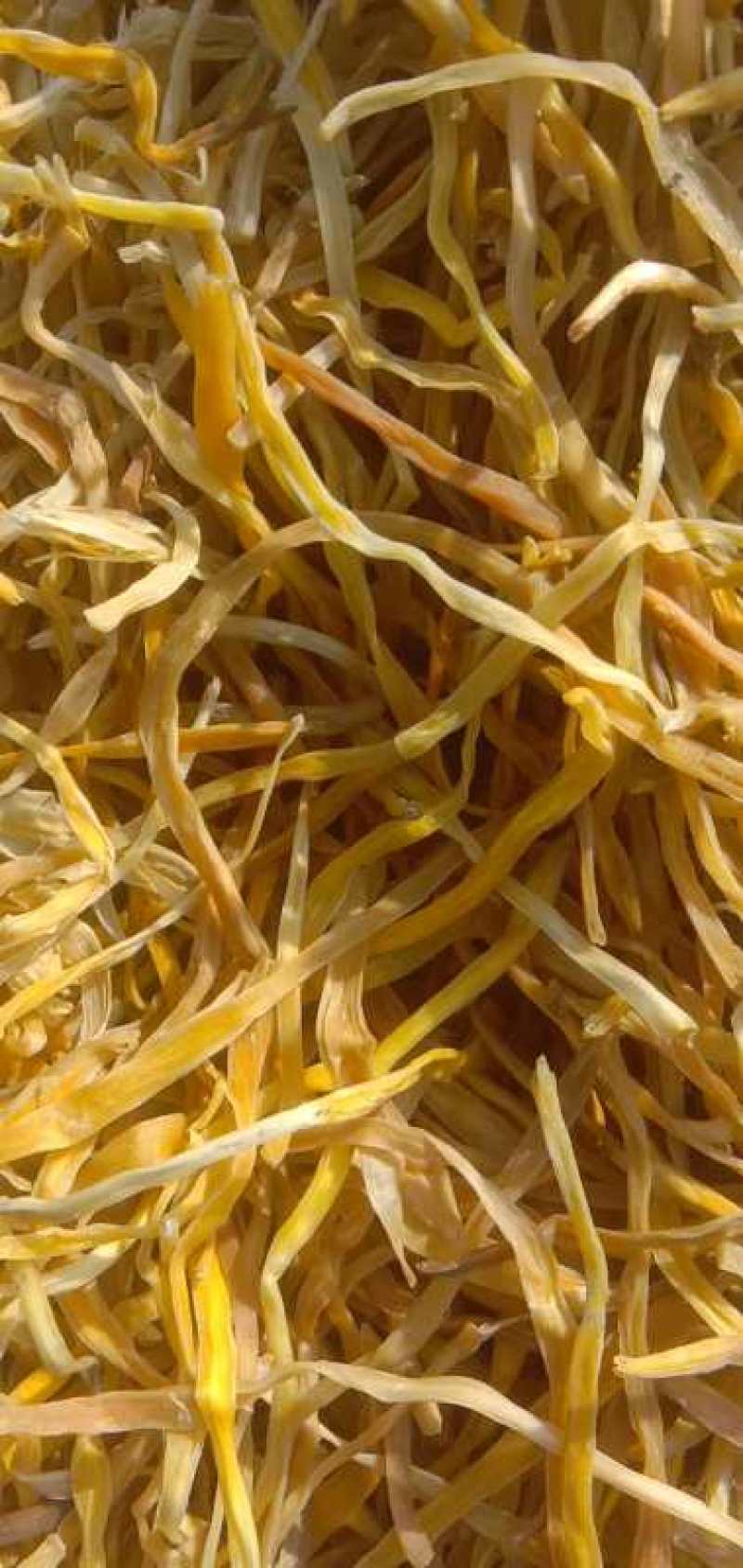 各种精品黄花菜干菜清水泡菜看中就下手手慢无