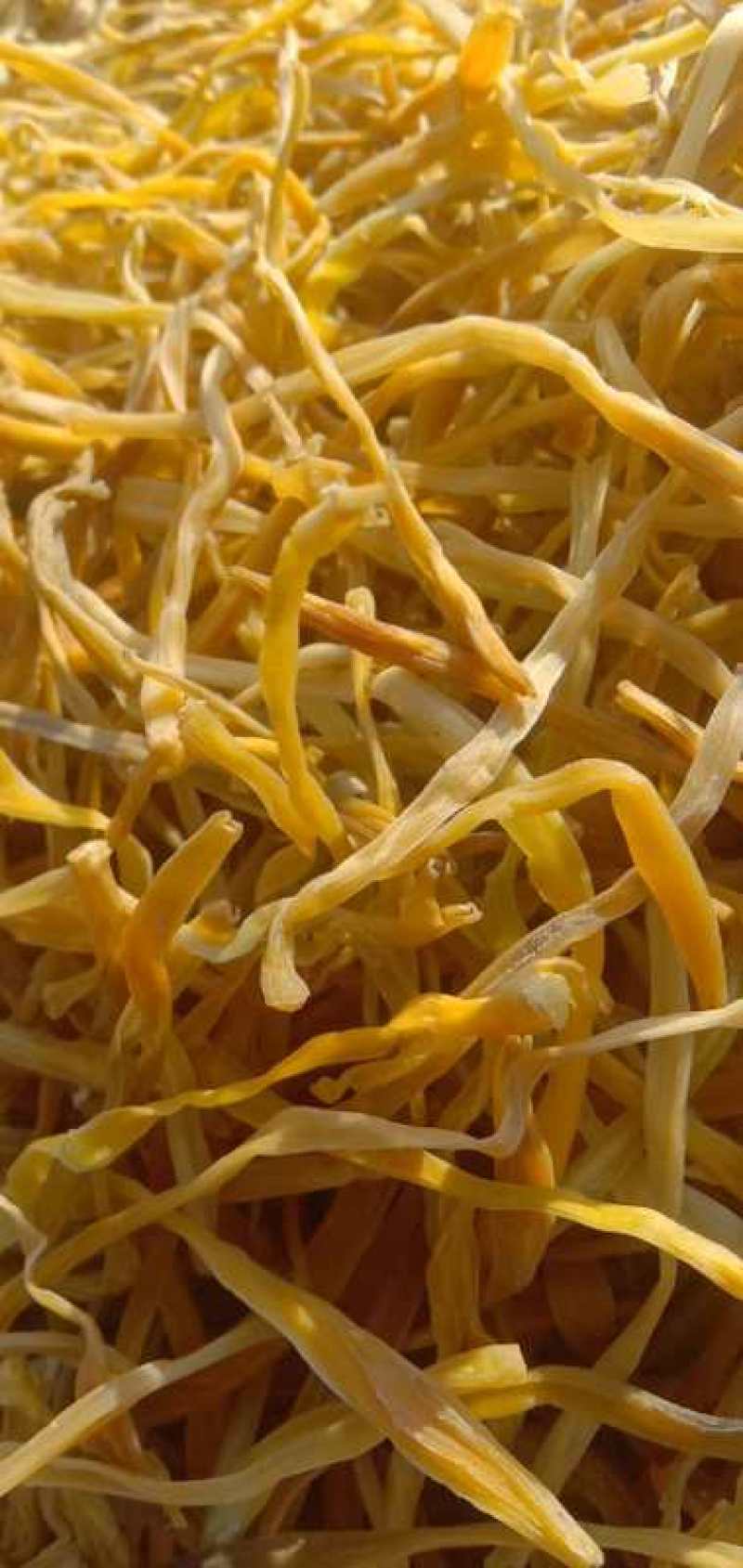 各种精品黄花菜干菜清水泡菜看中就下手手慢无