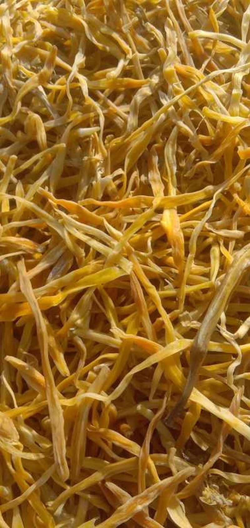各种精品黄花菜干菜清水泡菜看中就下手手慢无