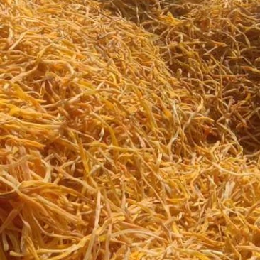 各种精品黄花菜干菜清水泡菜看中就下手手慢无