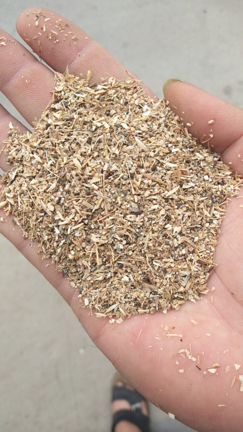 各种精品碎麦子，麦土，麦毛，碎麦子，闭麦子，水洗麦子等
