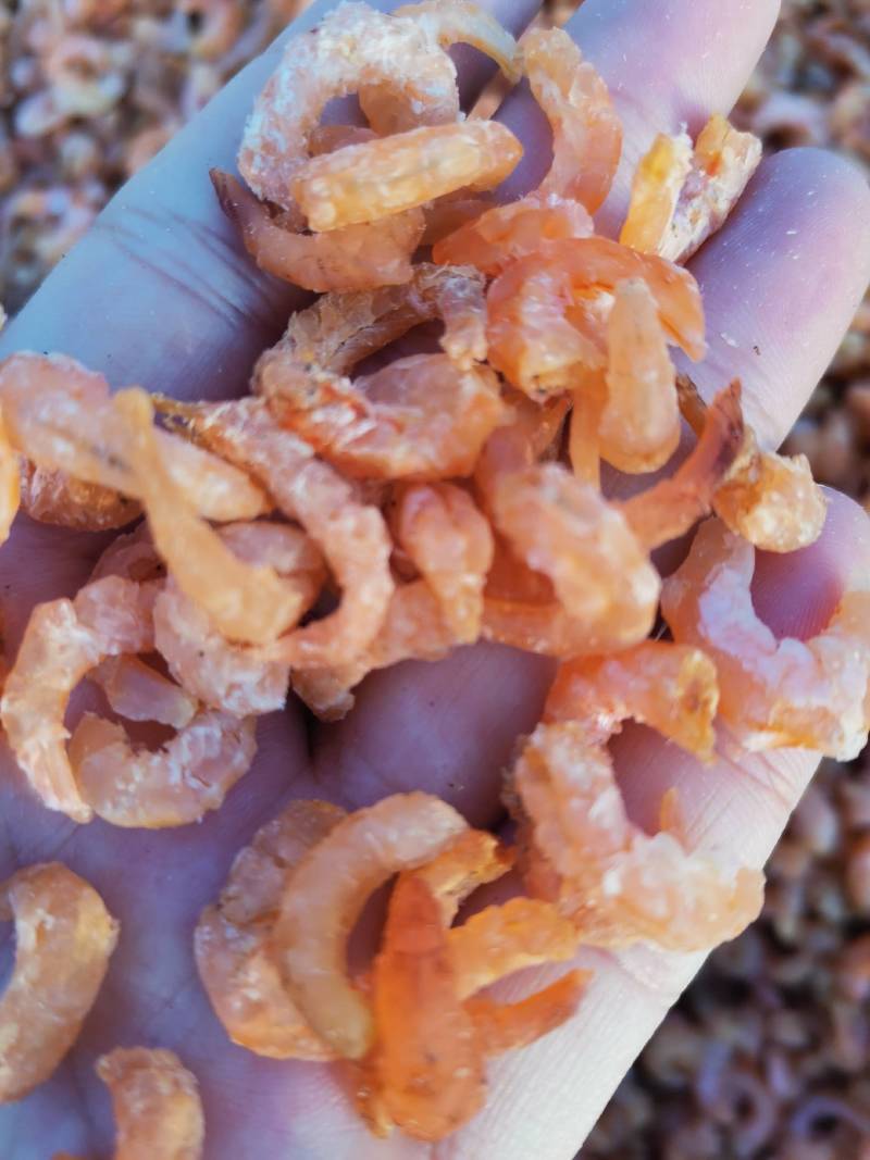 供货基地金钩海米淡干金钩海米干货小虾米，海鲜干货无盐即食