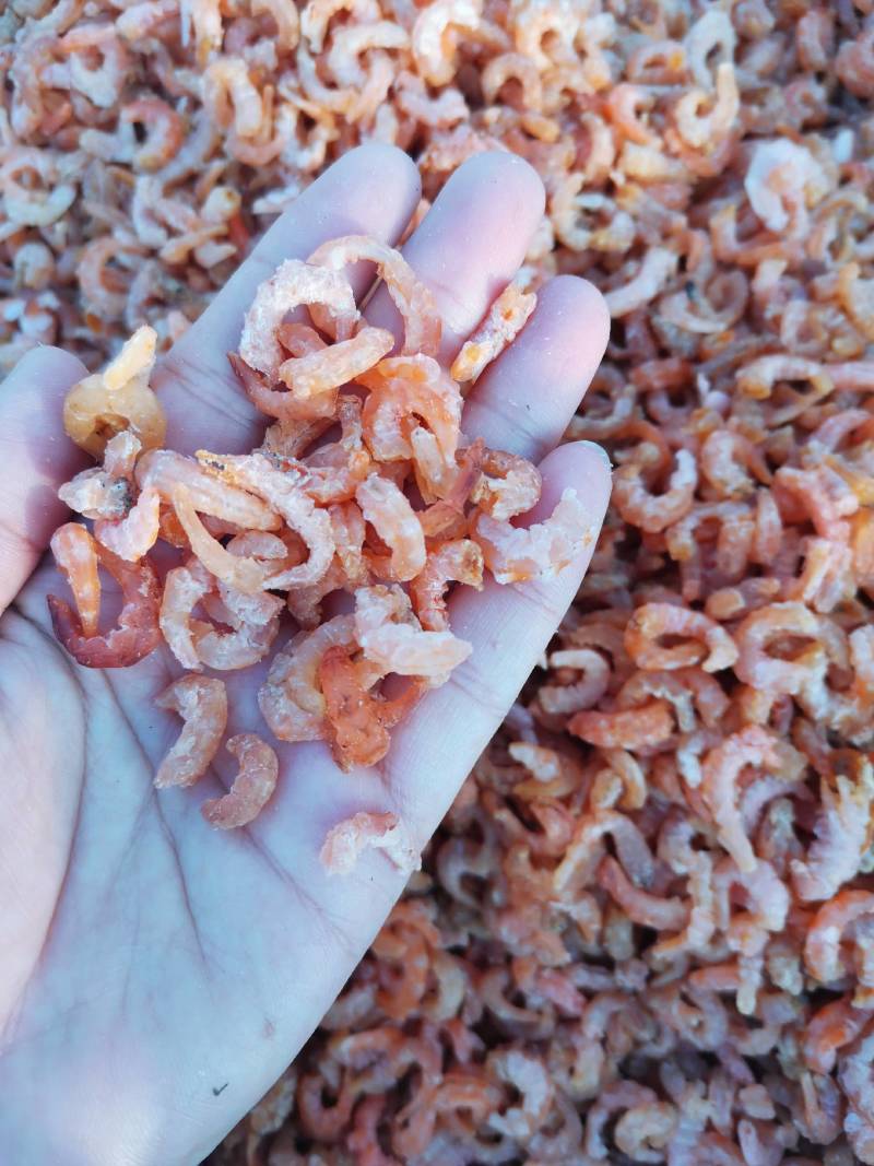 供货基地金钩海米淡干金钩海米干货小虾米，海鲜干货无盐即食