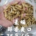 蝼蛄，中药材，新鲜货，