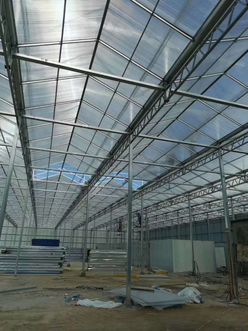 种植棚联栋大棚玻璃温室大棚厂家直销
