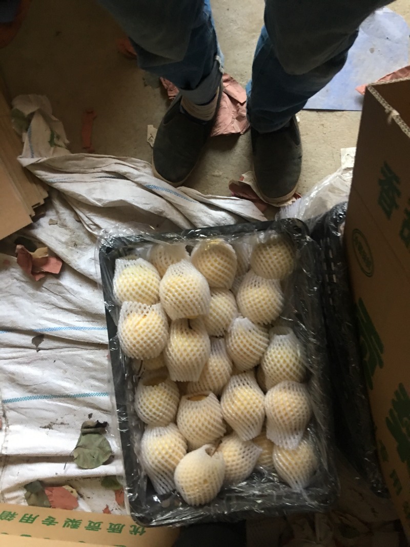 贡梨纸袋250~300g规格齐全大量上市价格优惠