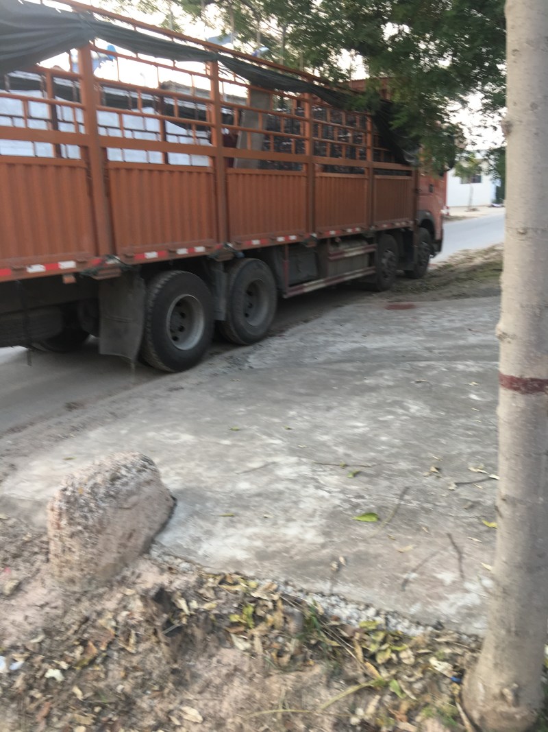 贡梨纸袋250~300g规格齐全大量上市价格优惠
