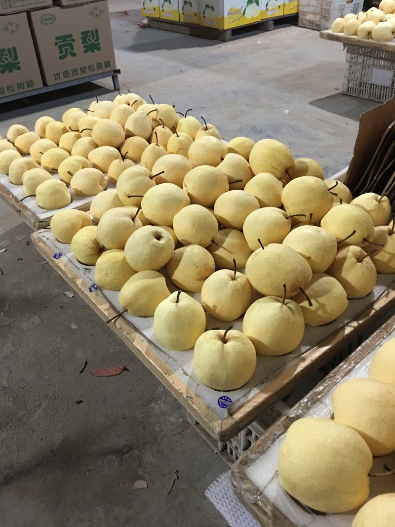 贡梨纸袋250~300g规格齐全大量上市价格优惠