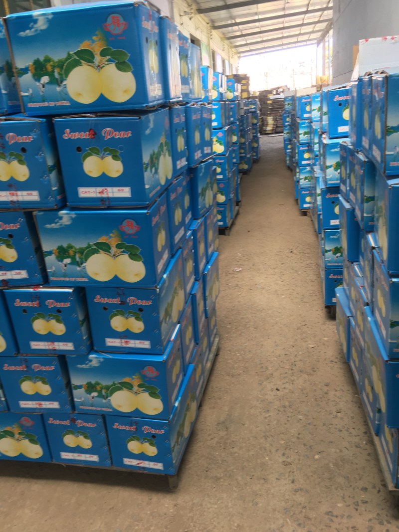 贡梨纸袋250~300g规格齐全大量上市价格优惠
