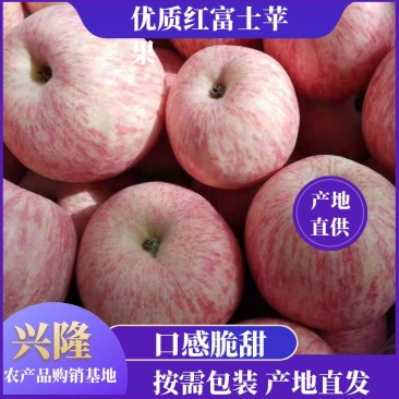 红富士苹果产地批红富士苹果规格齐全按需包装