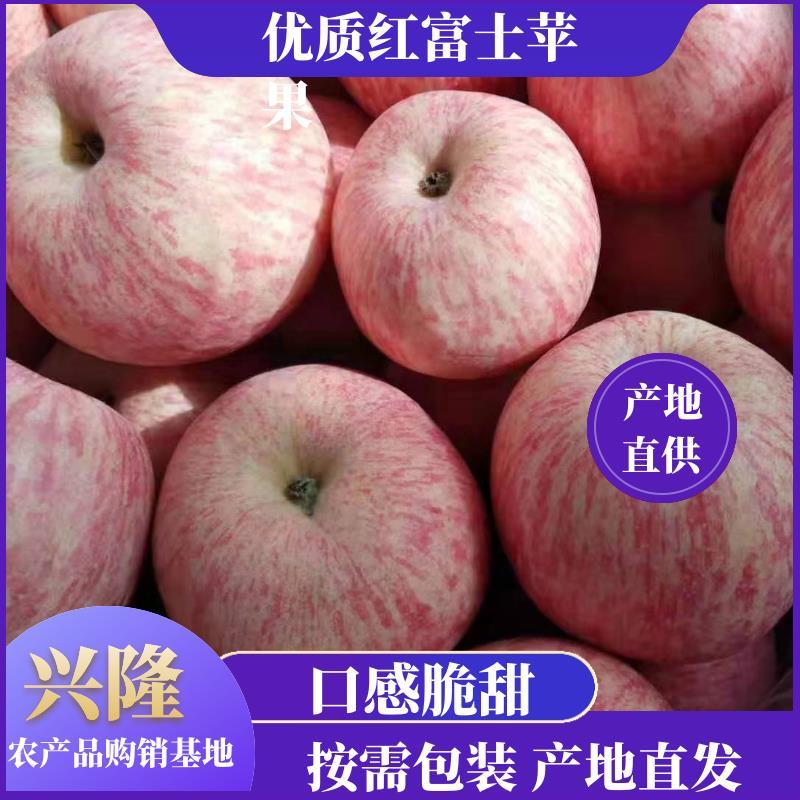 红富士苹果产地批红富士苹果规格齐全按需包装