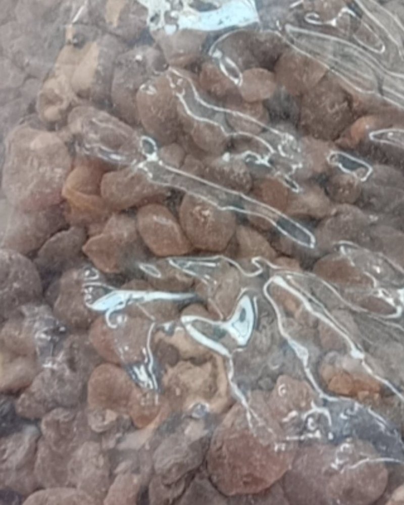 土贝母，常年批发供应土贝母，冷背中药材中药材，量大从优