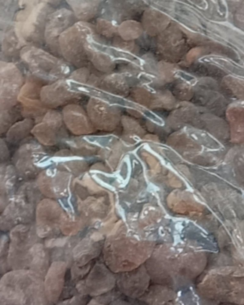 土贝母，常年批发供应土贝母，冷背中药材中药材，量大从优