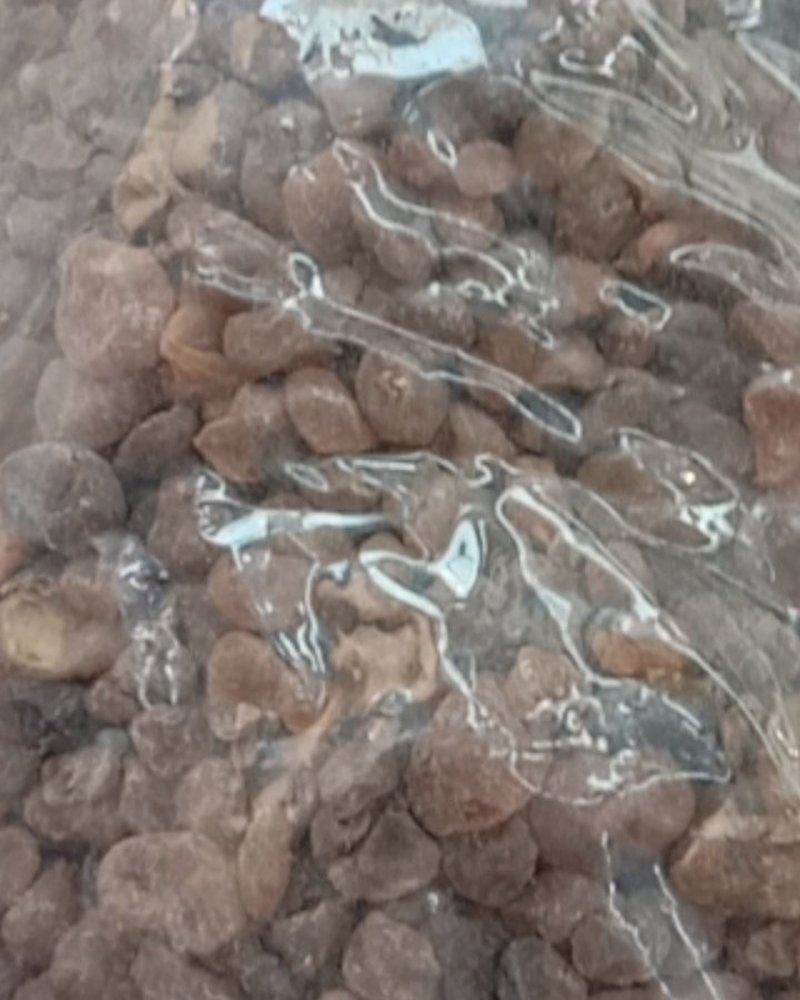 土贝母，常年批发供应土贝母，冷背中药材中药材，量大从优