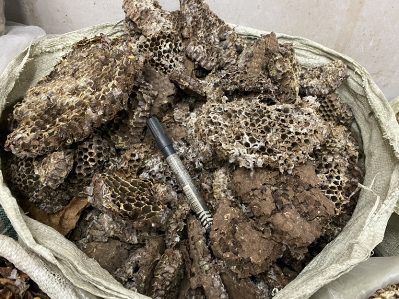 中药材蜂房天然马蜂窝块无虫卵优质好货批发